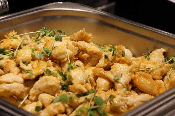 DSC02728.JPG DSC02728.JPG