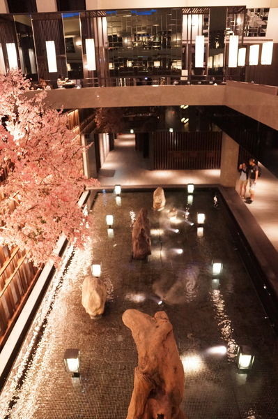 DSC02752.JPG DSC02752.JPG