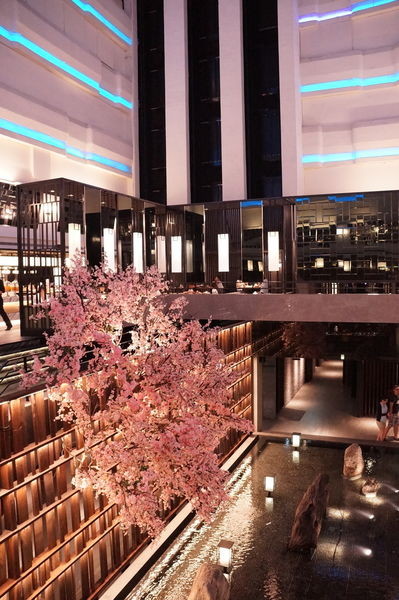 DSC02746.JPG DSC02746.JPG