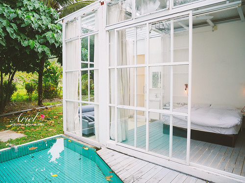 【台東住宿】台東天晴民宿 ☀ 最接近大自然的山中玻璃屋