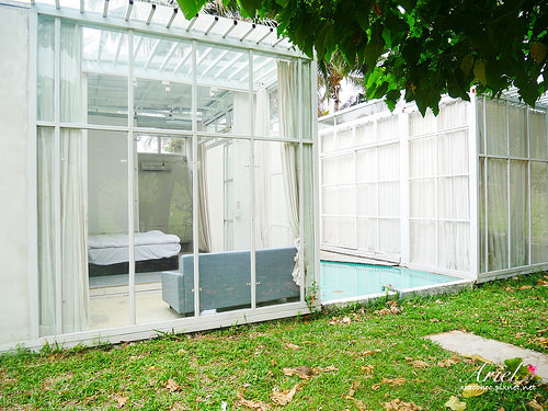 【台東住宿】台東天晴民宿 ☀ 最接近大自然的山中玻璃屋