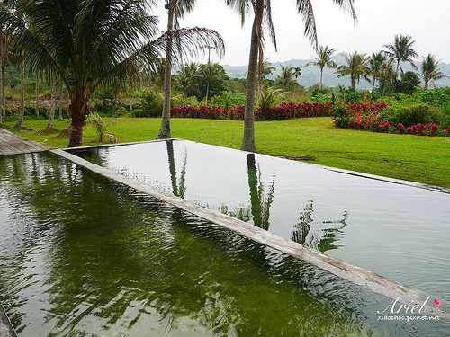 【台東住宿】台東天晴民宿 ☀ 最接近大自然的山中玻璃屋