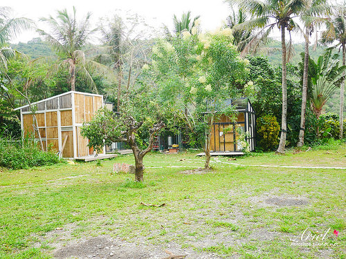 【台東住宿】台東天晴民宿 ☀ 最接近大自然的山中玻璃屋
