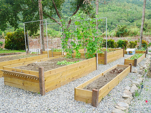 【台東住宿】台東天晴民宿 ☀ 最接近大自然的山中玻璃屋