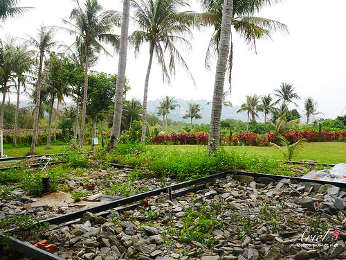 【台東住宿】台東天晴民宿 ☀ 最接近大自然的山中玻璃屋