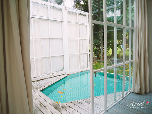 【台東住宿】台東天晴民宿 ☀ 最接近大自然的山中玻璃屋