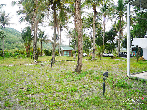 【台東住宿】台東天晴民宿 ☀ 最接近大自然的山中玻璃屋