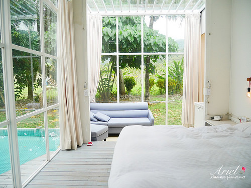 【台東住宿】台東天晴民宿 ☀ 最接近大自然的山中玻璃屋