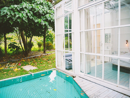 【台東住宿】台東天晴民宿 ☀ 最接近大自然的山中玻璃屋