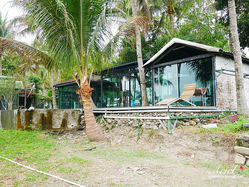 【台東住宿】台東天晴民宿 ☀ 最接近大自然的山中玻璃屋