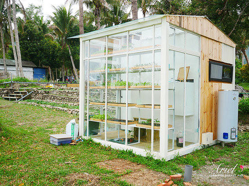 【台東住宿】台東天晴民宿 ☀ 最接近大自然的山中玻璃屋