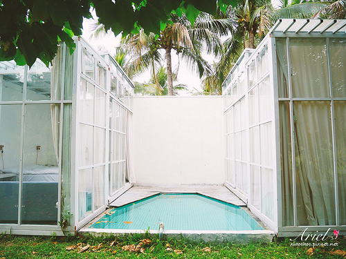 【台東住宿】台東天晴民宿 ☀ 最接近大自然的山中玻璃屋