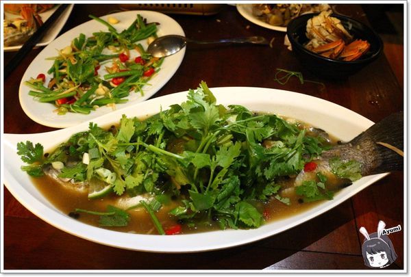 獵場中和店 原住民風味料理、音樂、串燒、海鮮：[食記]►新北中和區◄原住民風味料理、音樂、串燒、海鮮－獵場中和店、週五－週日晚上還有駐唱唷！！！