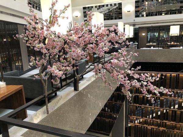 IMG_5564.JPG IMG_5564.JPG