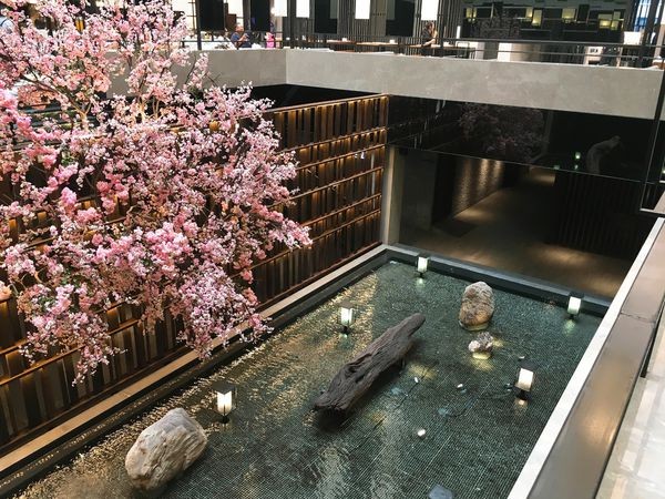 IMG_5535.JPG IMG_5535.JPG