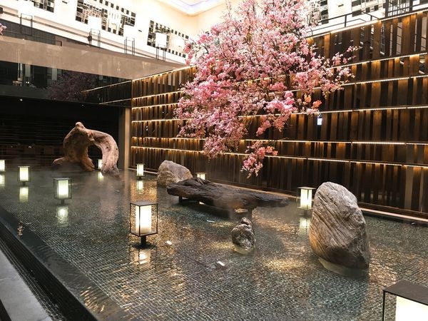 IMG_5541.JPG IMG_5541.JPG