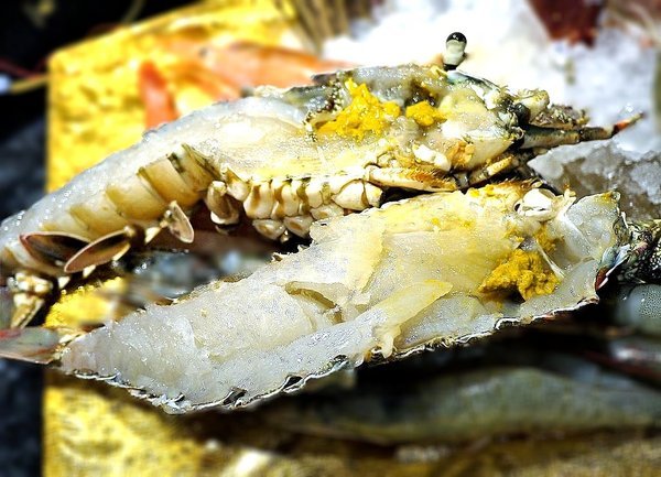 小鮮肉涮涮屋：【永春站火鍋推薦】小鮮肉涮涮屋 頂級肉品 / 海鮮 . 超狂超澎湃 