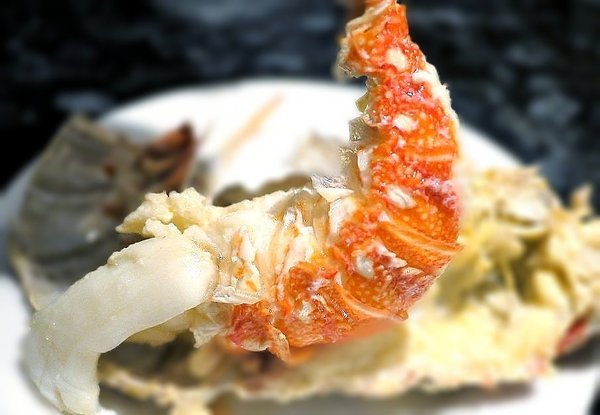 小鮮肉涮涮屋：【永春站火鍋推薦】小鮮肉涮涮屋 頂級肉品 / 海鮮 . 超狂超澎湃 