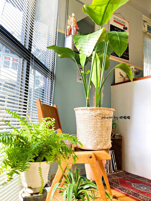 【嘉義 西區】Archers Kitchen 弓箭手♐ 巷弄老宅甜點，不只甜點美味，更能在此感受屋內光影變化，多麼美好的愜意午後，滿足味蕾與視覺享受 💕 💕 💕