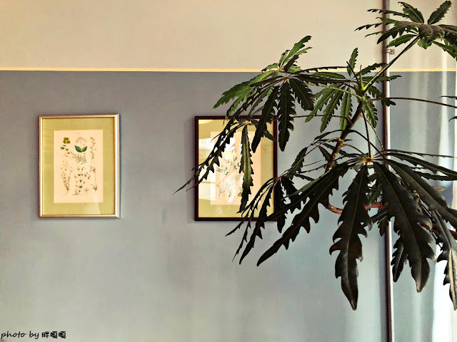 【嘉義 西區】Archers Kitchen 弓箭手♐ 巷弄老宅甜點，不只甜點美味，更能在此感受屋內光影變化，多麼美好的愜意午後，滿足味蕾與視覺享受 💕 💕 💕