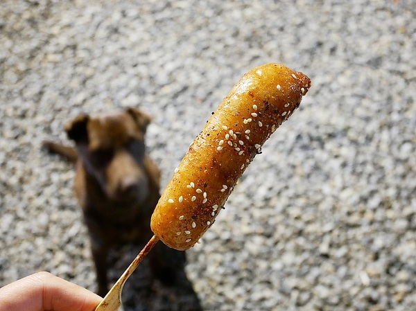 cm20190320___58dcee0123dda1549fe65659045