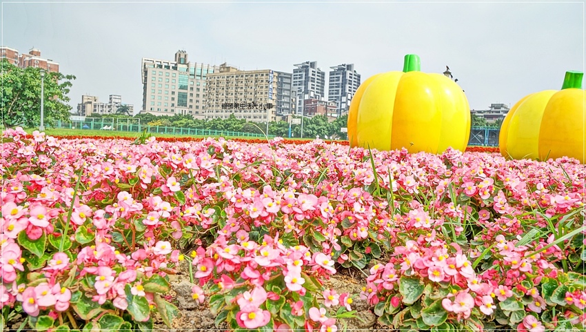 /tmp/phpJMNFcN /tmp/phpJMNFcN