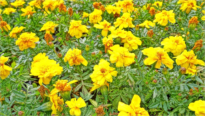 /tmp/php1SFI35 /tmp/php1SFI35