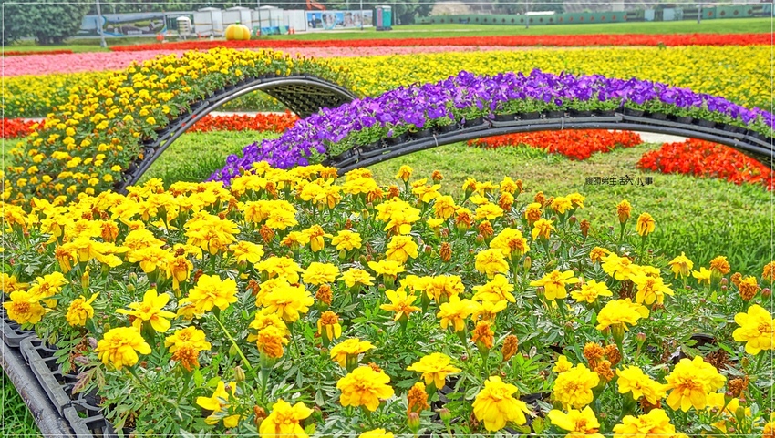 /tmp/phpBSmOfk /tmp/phpBSmOfk