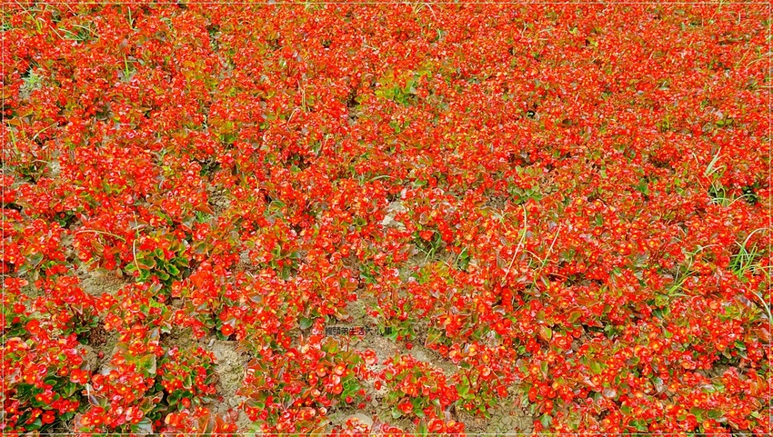 /tmp/phpJCHylQ /tmp/phpJCHylQ