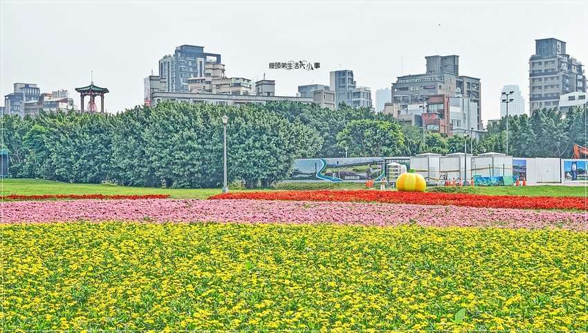 /tmp/phptmLH0z /tmp/phptmLH0z