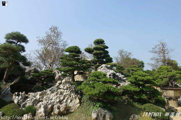 【彰化。田尾】台灣銘園庭園美術館。欣賞東方庭院造景之美