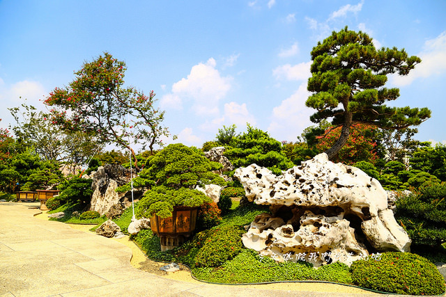 IMG_4508-25 IMG_4508-25