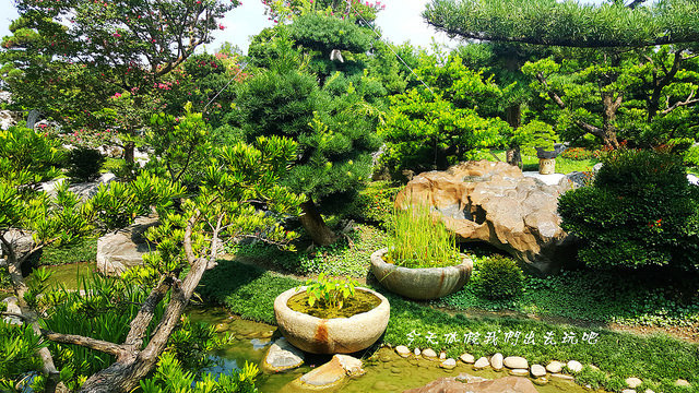 20180729_135707 20180729_135707