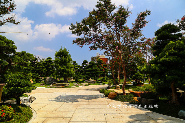 IMG_4479-5 IMG_4479-5