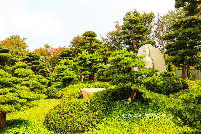 IMG_4496-20 IMG_4496-20