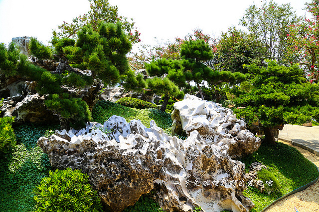 IMG_4505-24 IMG_4505-24