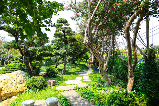 IMG_4500-23 IMG_4500-23