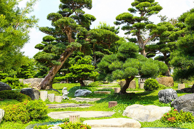 IMG_4484-9 IMG_4484-9