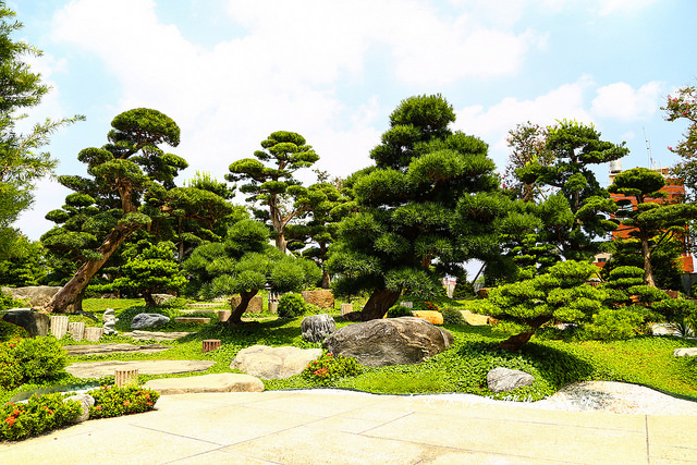 IMG_4486-11 IMG_4486-11