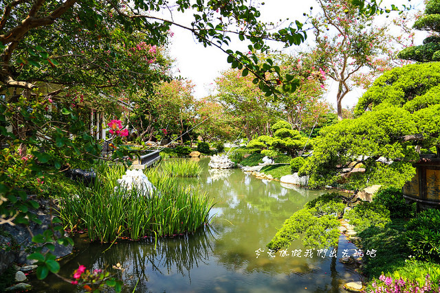 IMG_4493-17 IMG_4493-17