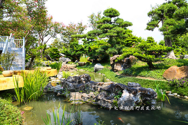 IMG_4480-6 IMG_4480-6