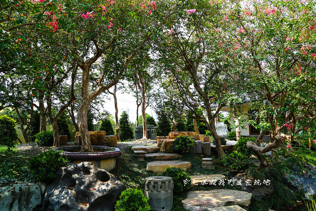 IMG_4491-15 IMG_4491-15