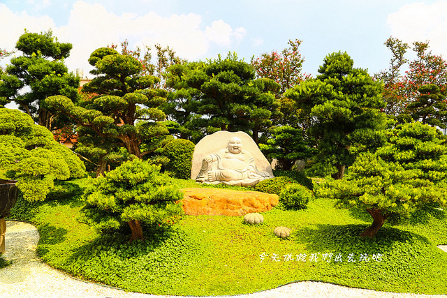 IMG_4488-12 IMG_4488-12