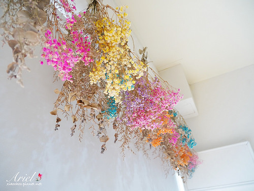 【台南美食】見雪 手作雪花冰 ❄ 天然水果✖濃郁雪花冰 ‖ 植生牆✖乾燥花 炎炎夏日清涼消暑❄美味又好拍