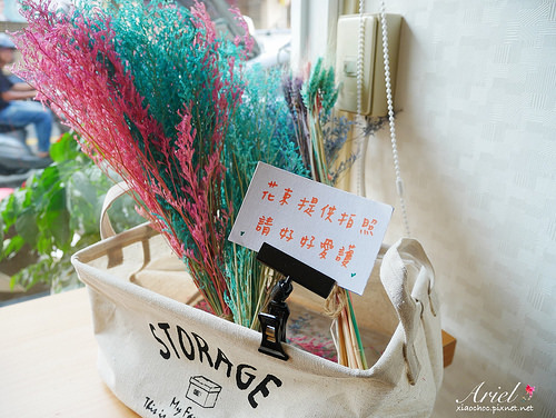 【台南美食】見雪 手作雪花冰 ❄ 天然水果✖濃郁雪花冰 ‖ 植生牆✖乾燥花 炎炎夏日清涼消暑❄美味又好拍