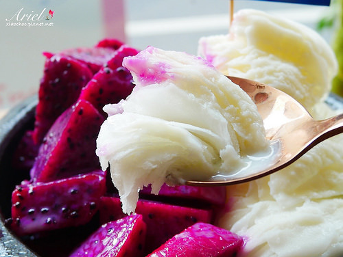 【台南美食】見雪 手作雪花冰 ❄ 天然水果✖濃郁雪花冰 ‖ 植生牆✖乾燥花 炎炎夏日清涼消暑❄美味又好拍