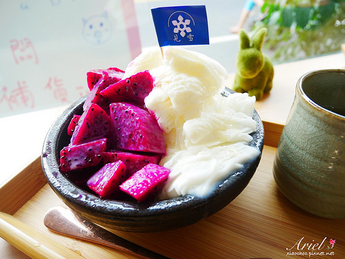 【台南美食】見雪 手作雪花冰 ❄ 天然水果✖濃郁雪花冰 ‖ 植生牆✖乾燥花 炎炎夏日清涼消暑❄美味又好拍