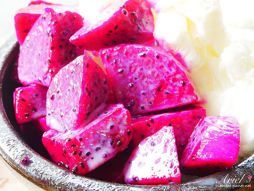 【台南美食】見雪 手作雪花冰 ❄ 天然水果✖濃郁雪花冰 ‖ 植生牆✖乾燥花 炎炎夏日清涼消暑❄美味又好拍