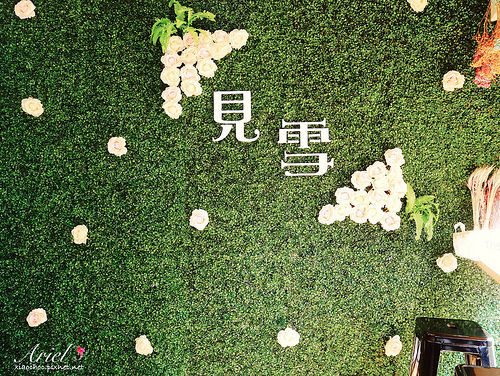 【台南美食】見雪 手作雪花冰 ❄ 天然水果✖濃郁雪花冰 ‖ 植生牆✖乾燥花 炎炎夏日清涼消暑❄美味又好拍