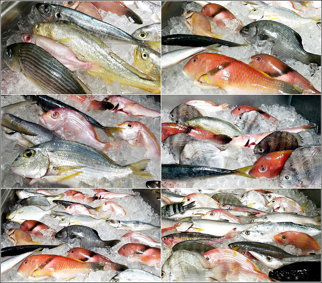 海王子自助炭烤 - 131.jpg